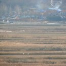 동주농장 이미지