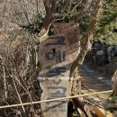 별천지 펜션 | [강원도 인제] 촌캉스 끝판왕 고메똥골 펜션