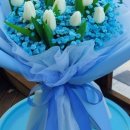 대전대성중학교 이미지