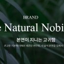 클라시엘 이미지