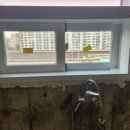 무궁화태영 이미지