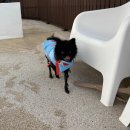 토닥민박 이미지