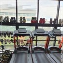 홍성Y복싱클럽 이미지