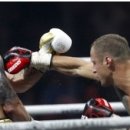 월드복싱 이미지