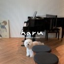 피아노스튜디오하루