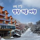 (주)현대엘리엇호텔앤드리조트 | 겨울에 가기 좋은 평창 1박 2일 코스｜송어축제·알펜시아 스키장·내돈내산 가성비 숙소
