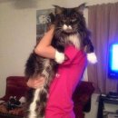 메인메디칼 이미지