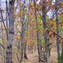 당곡목장 이미지