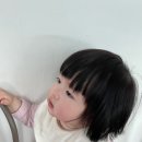 페이보리 이미지