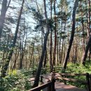 금빛가든 이미지