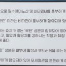 솔마지기메밀막국수