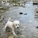 이집이좋겠네 이미지