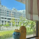 공주교육대학교 교육대학원 | 대학원-7. 공주교대 계절제 교육대학원 아동문학교육과 2025 여름 3학기 차 (교육연극, 교과서문학연구)