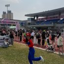 합천슈퍼 | 2026 합천 벚꽃마라톤 10km 후기