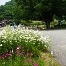 부귀면행정복지센터 이미지