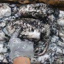 청하보석사우나 이미지