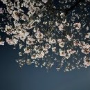 픽스바디짐 이미지