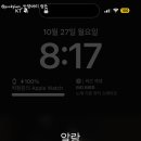 안녕 고양이 이미지