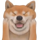 안성연세의원 이미지