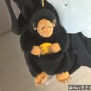 신비한 돈의 세계 | [도쿄 여행] 해리포터 스튜디오 | 관람 후기, 식당 이용 후기, 기념품 추천 (사진 많음 주의!)