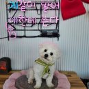 스테이 멍(STAY MUNG) 이미지