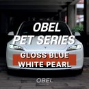 용인랩핑 테슬라 랩핑 OBEL GLOSS BLUE WHITE PEARL 글로스 블루 화이트 펄 후기