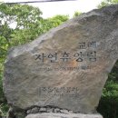 교래자연휴양림 이미지