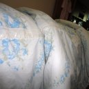 진아소프트 이미지