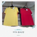 티나대리점 | 마카오 폴로공장 정품 여부와 가격 위치 쇼핑 꿀팁 총정리