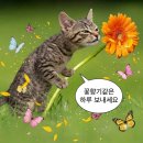 숲가든앤플랜트 | @반포 꽃집 ' 나무수플라워앤가든 ' 서초 강남 당일 꽃배달 가능한 곳♥ 미니꽃다발 리뷰
