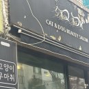 폼나"개" 이미지