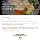 [ 블로그 애드포스트 선정 ] 1트만에 애드포스트 선정된 나의 블로그 모든 데이터 공개 ( feat. 블로그...