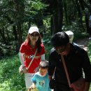 남부민초등학교 이미지