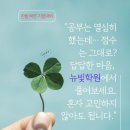 (주) 뉴빛