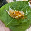 다온수산 | ✨광주 서구 내방동 횟집 추천 “다온수산” 추천✨