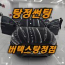 루마버텍스아산탕정점