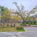 죽전중앙근린공원 이미지
