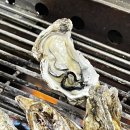 2024 천북 굴축제 이미지