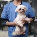 서전주중학교 이미지