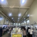 와이케이 더블유 이미지