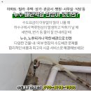 조승호내과의원 이미지