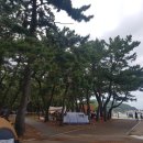 남정면사무소 화장실 이미지