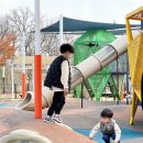 ㈜더엘 | 스트레스해소법 엘테아닌 복용법 섭취 후기