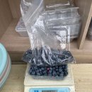 엘림농장 이미지