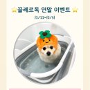 끌레르독 이미지