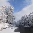 푸른산수목원 이미지