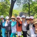 창조 카카오 검색결과