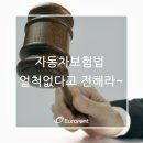 아몰랑 자동차보험법 이미지