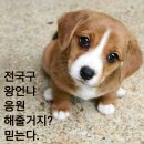 품바 이미지