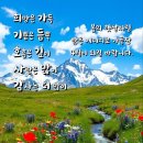 양푼이 이미지